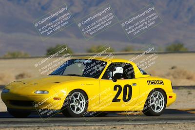 media/Nov-23-2024-Nasa (Sat) [[59fad93144]]/HPDE 1-2/Session 3 Turn 4 Tree of Life/